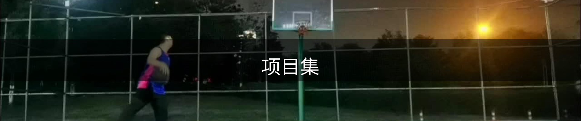 项目集